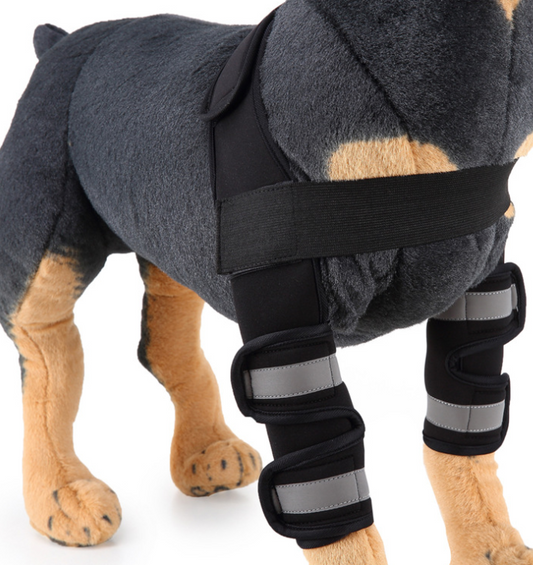 Hondenkniebrace en pootbeschermer voor herstel van blessures
