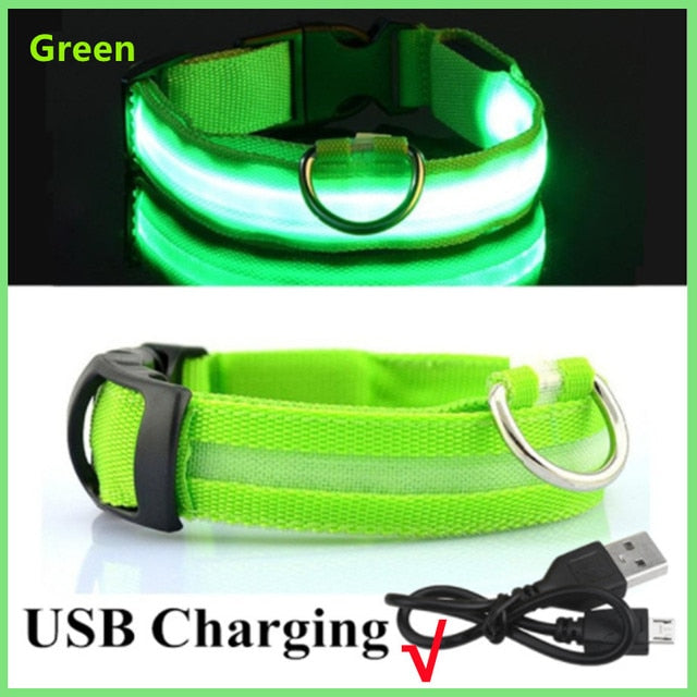 Lichtgevende verstelbare halsband voor honden
