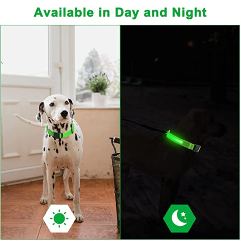 Lichtgevende verstelbare halsband voor honden