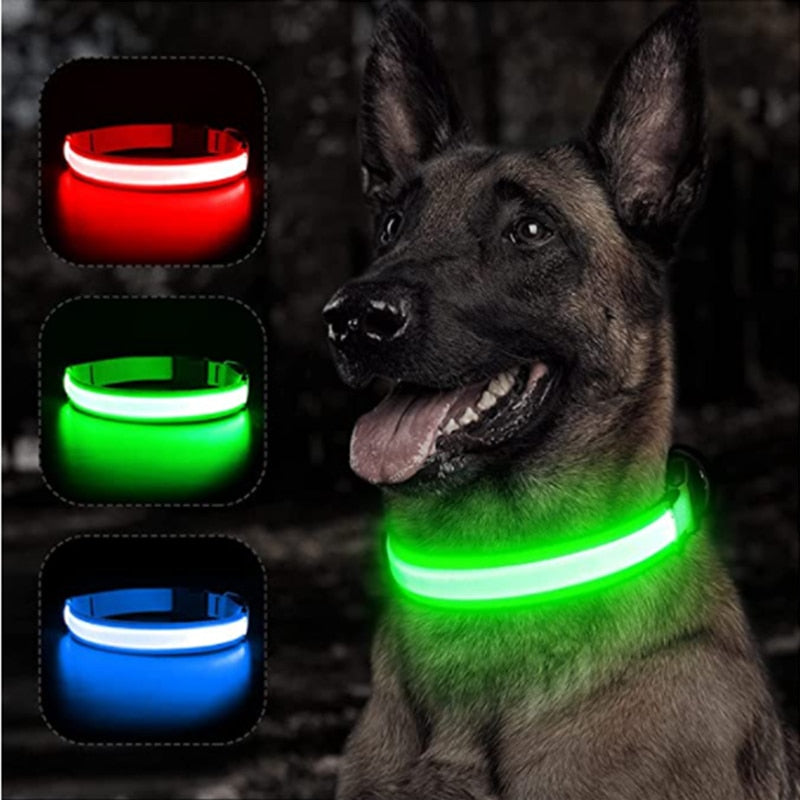 Lichtgevende verstelbare halsband voor honden