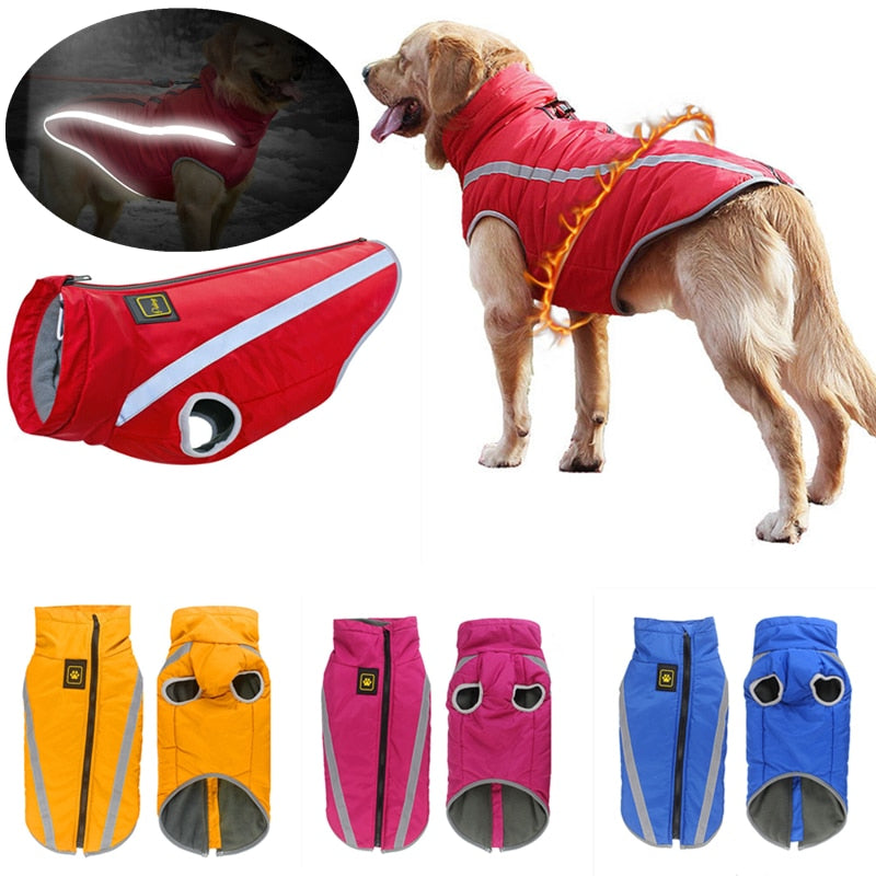 Waterdichte grote hondenkleding