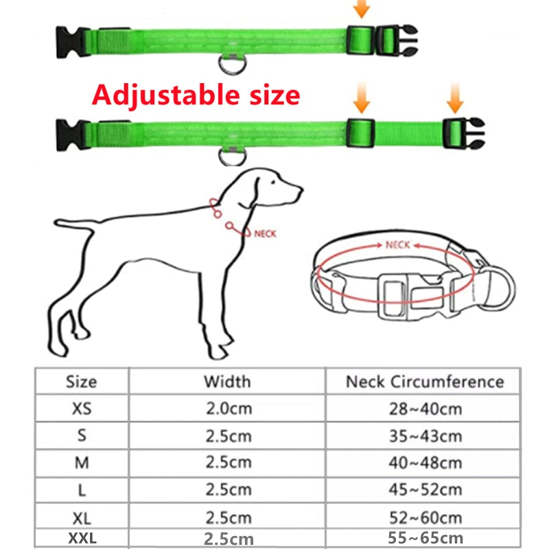 Lichtgevende verstelbare halsband voor honden