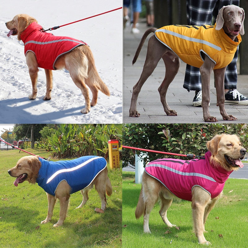 Waterdichte grote hondenkleding