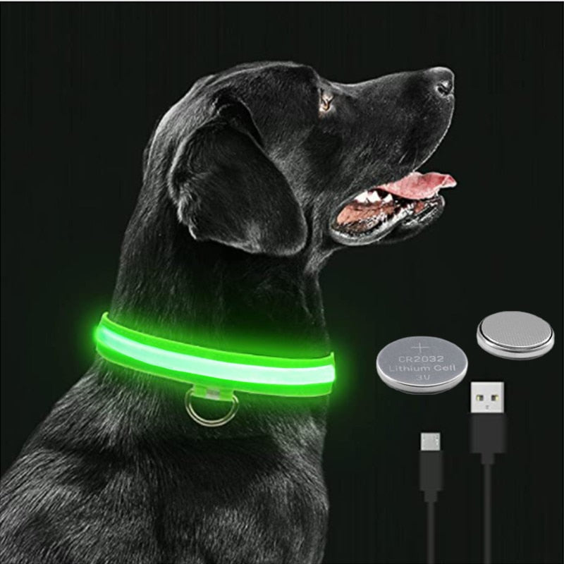 Lichtgevende verstelbare halsband voor honden